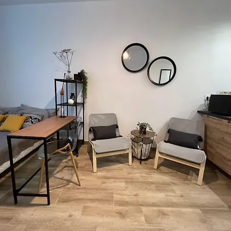 Cosy Rez-de-chaussee Foix