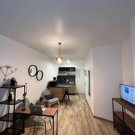 Cosy Rez-de-chaussee Apartment Foix
